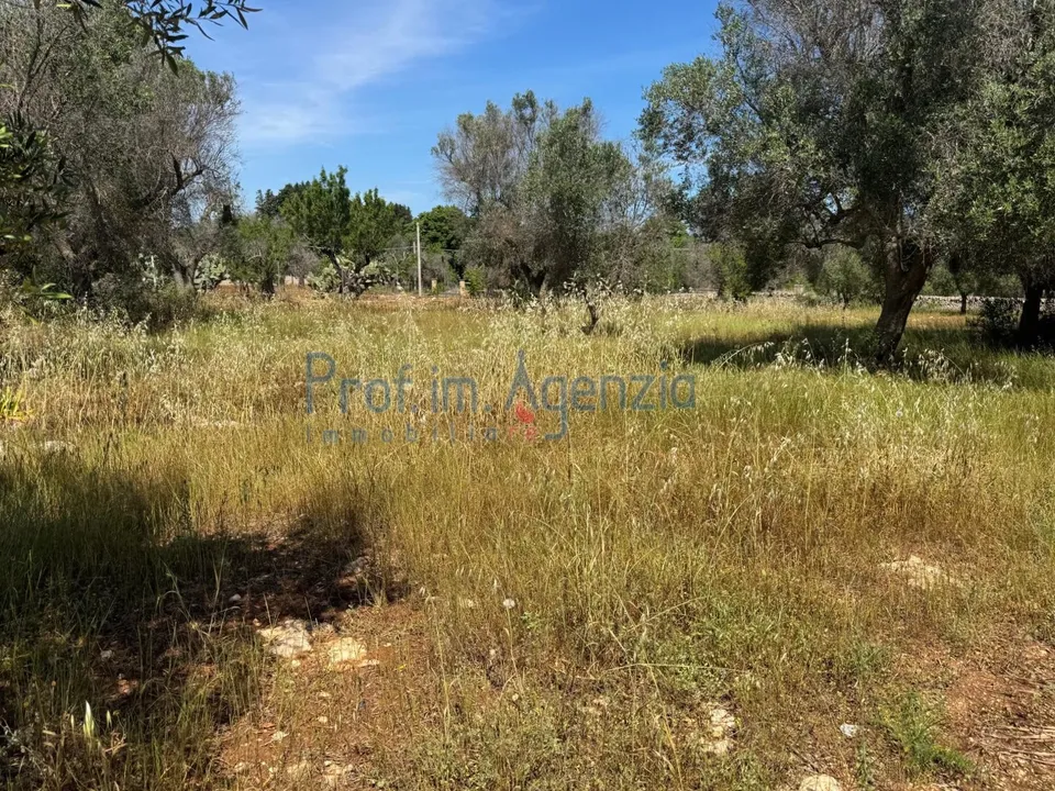 Helårsgrund i San Vito dei Normanni, Brindisi - foto 2